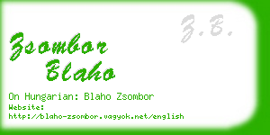 zsombor blaho business card